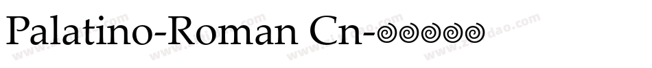 Palatino-Roman Cn字体转换